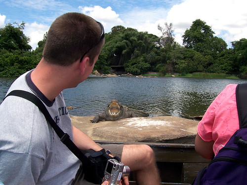 Cliff screaming 'Oh dear, a crocodile!' after taking the camera down from his face and realizing how close we were to the open-mouthed croc.